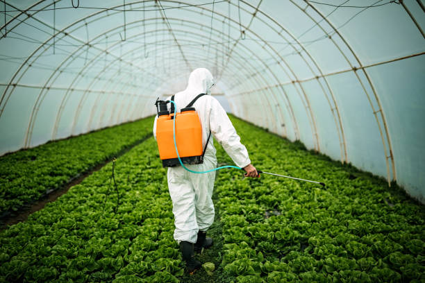 Best Emergency Pest Control  in Spring Valley, AZ