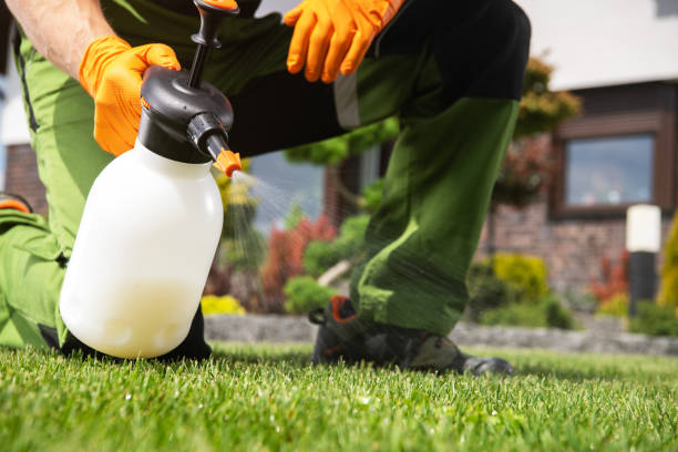 Best Pest Control for Homes  in Spring Valley, AZ