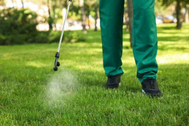 Best Bird Control  in Spring Valley, AZ