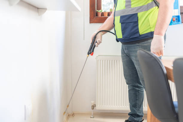 Flea Control Services in Spring Valley, AZ