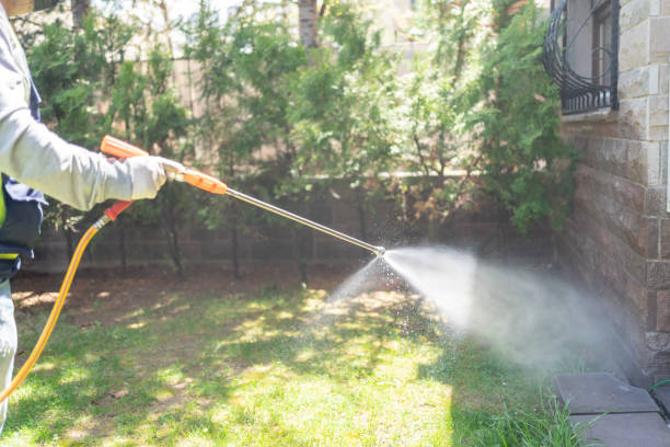 Best Cockroach Control Services  in Spring Valley, AZ